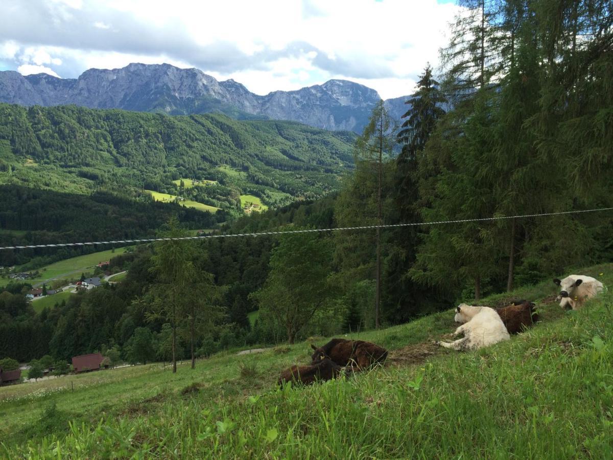 Kreitalm - Kraftplatz Im Salzkammergut Neukirchen  Buitenkant foto